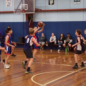 181109 NSW CPS Basketball Challenge 274