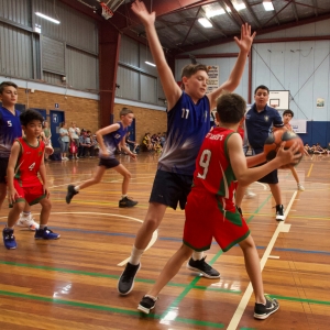 181109 NSW CPS Basketball Challenge 137