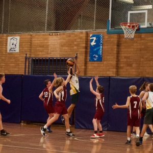 181109 NSW CPS Basketball Challenge 231