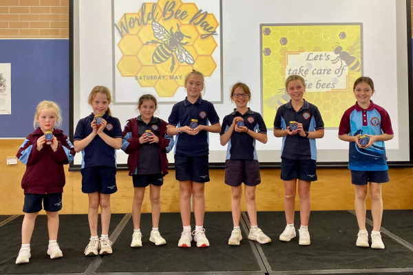 World Bee Day - The Bees Knees 2023